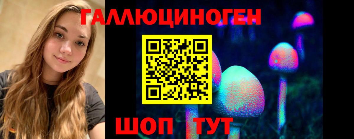Псилоцибиновые грибы Psilocybine cubensis Прохладный